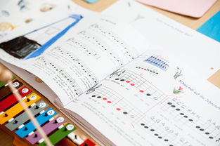 九游体育网站入口-中小学体育教师继续教育体系建设与实施研究，小学体育继续教育考试试题及答案